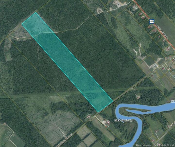 - Woodland - North Black River Rd — photo 1
