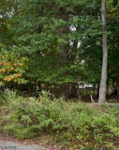 Property Photo:  0 Oakwood Ave  NJ 07440 