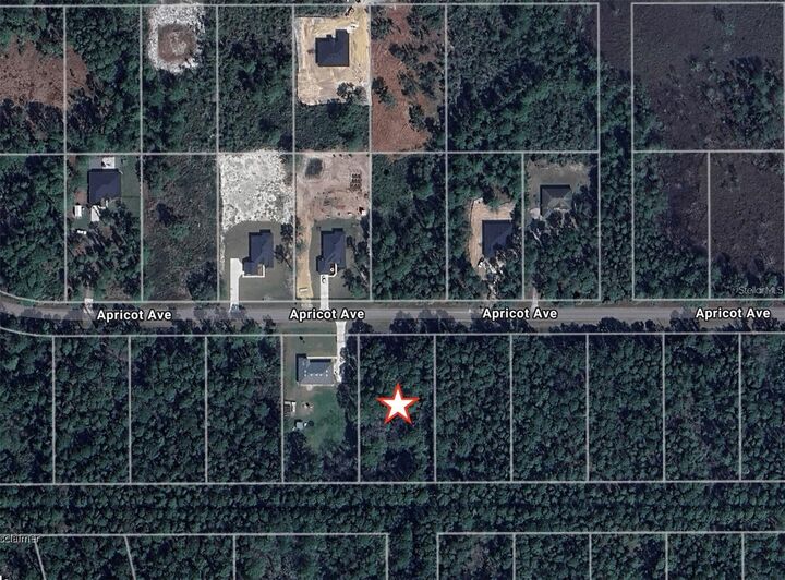Property Photo: Apricot Avenue FL 32736