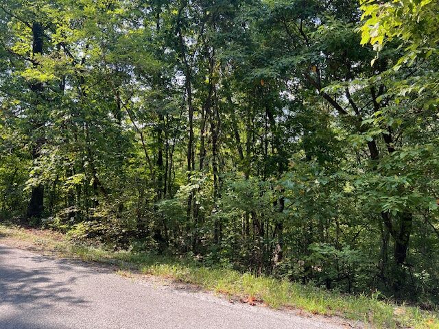 Property Photo:  89 Sunrise Avenue  AR 72631 
