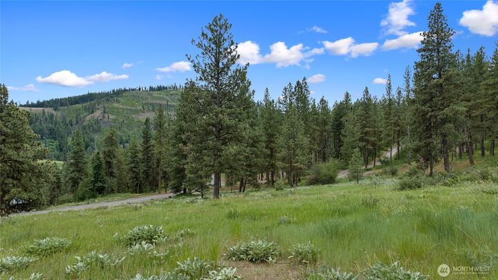Property Photo: 0 2B Swauk Pines Road WA 98922