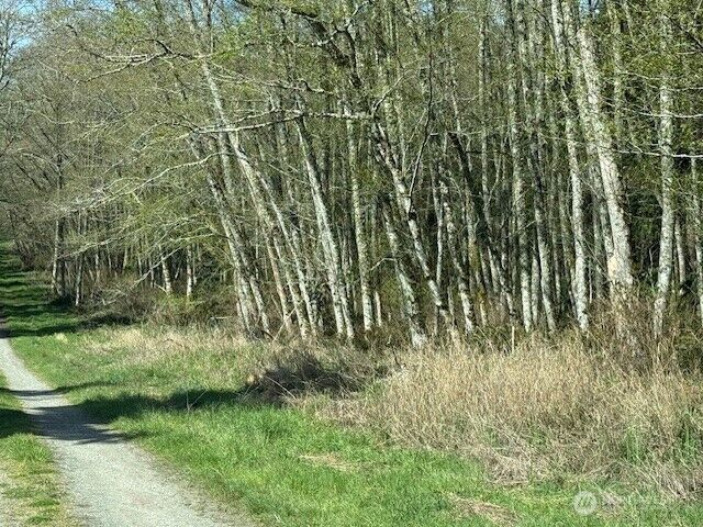 Property Photo:  0 Lot 2  Ander Park Road  WA 98249 