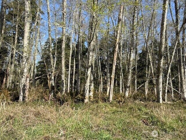 Property Photo:  0 Lot 16  Ander Park Road  WA 98249 