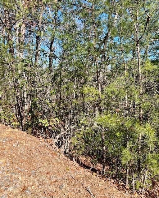 Property Photo: 0 Rosen Strasse GA 30545