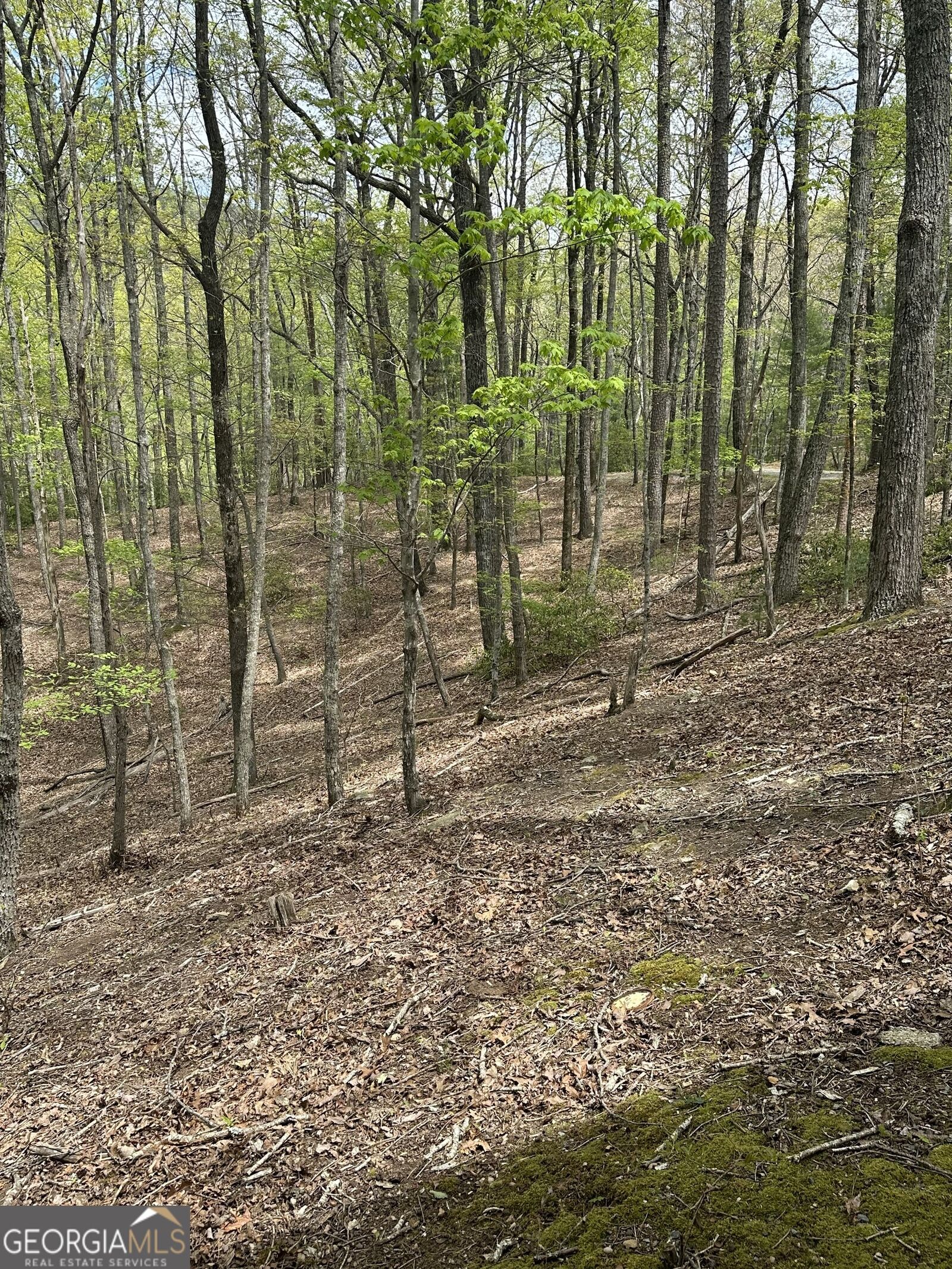 Property Photo: Lt B87 Laurel Lane GA 30536