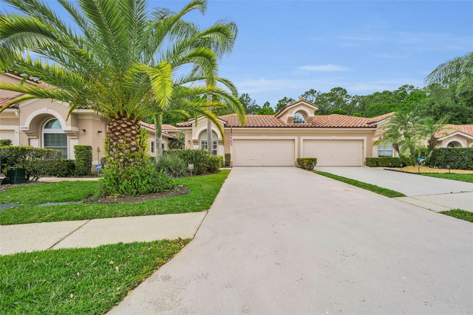 Property Photo:  3802 Darston Street  FL 34685 