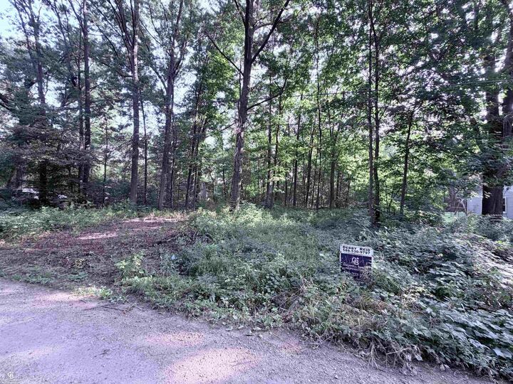 Property Photo:  0 Woodland Ln Lane  MI 48054-0000 