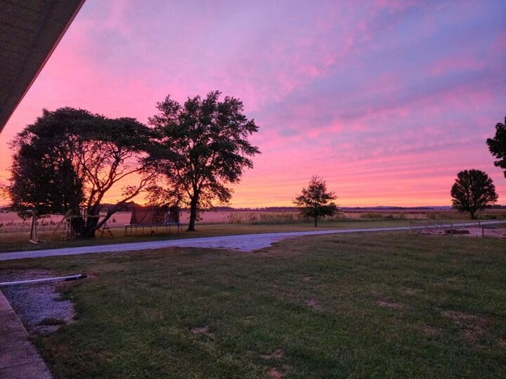 Property Photo:  3992 Neunert Road  IL 62950 