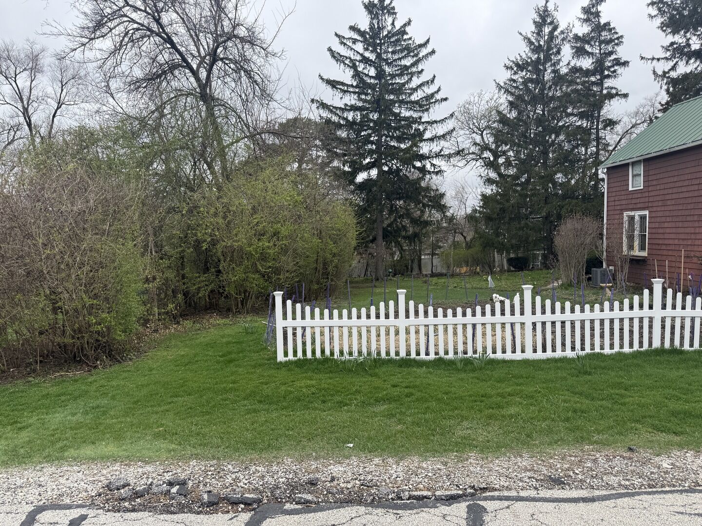 Property Photo:  4904 Rose Avenue  IL 60515 