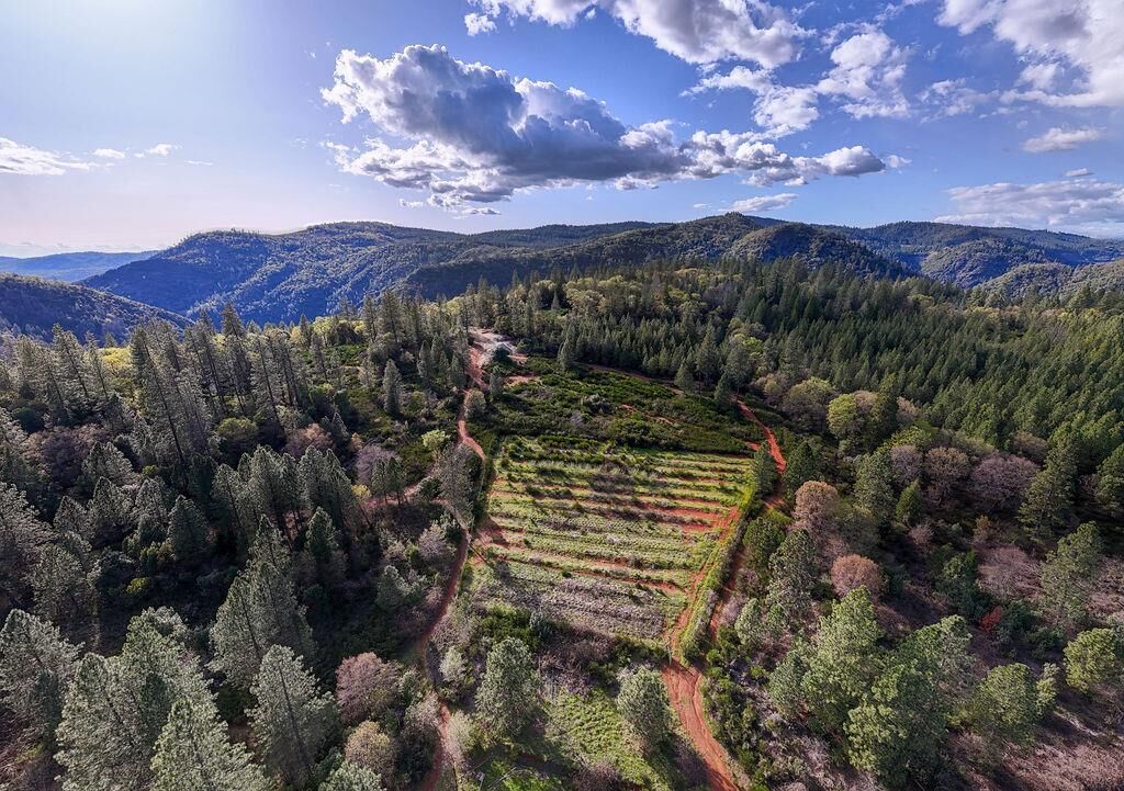 Property Photo:  10571 Sebastopol Road  CA 95960 