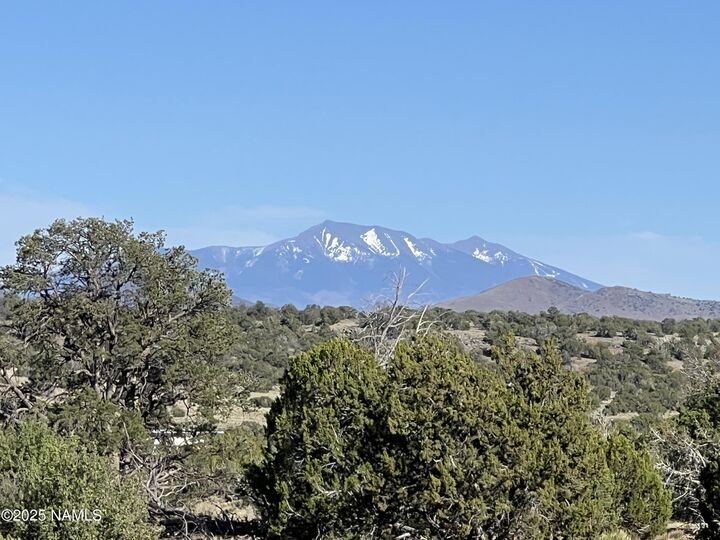 Property Photo:  8755 S Rim Ranch Road  AZ 86046 