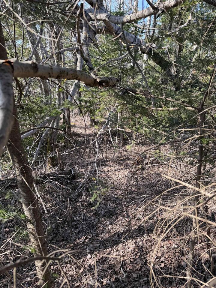 Property Photo:  Lot C Alma Road  NS B0K 2A0 