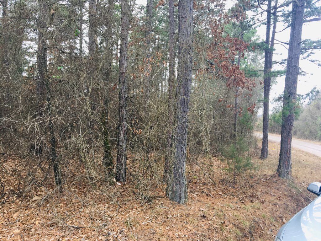 Property Photo: 95 Eagles Nest, Cr 1788 AR 72847