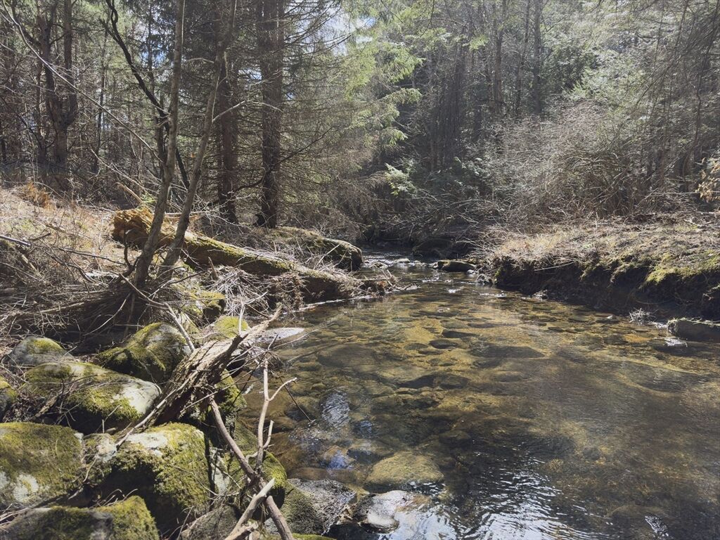 Property Photo:  151 Ashfield Road  MA 01096 