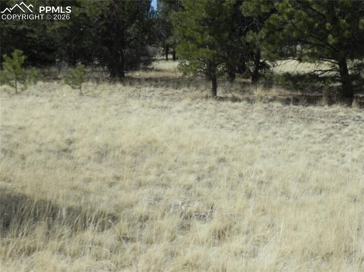 Property Photo:  1058 Monarch Drive  CO 80813 
