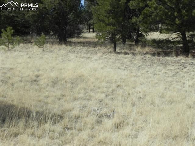 Property Photo:  1058 Monarch Drive  CO 80813 