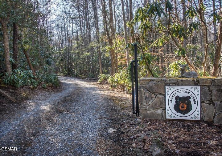 Property Photo:  125 Cricket Hollow Way  TN 37722 