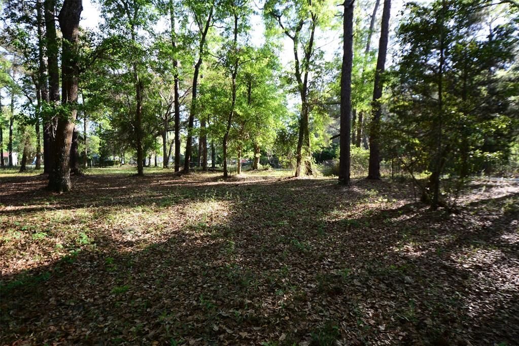 Property Photo: Parcel 6 Peeples Road FL 32097