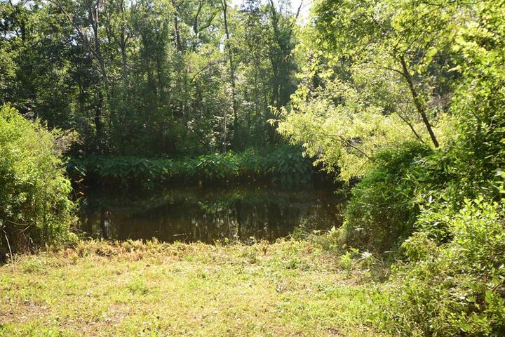 Property Photo: Parcel 2 Peeples Road FL 32097