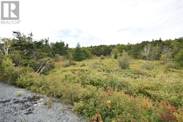 Property Photo:  308-310 Anchorage Road  NL A1W 4W3 