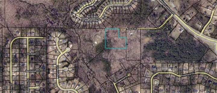 Property Photo: 0 Woodland Drive GA 30213