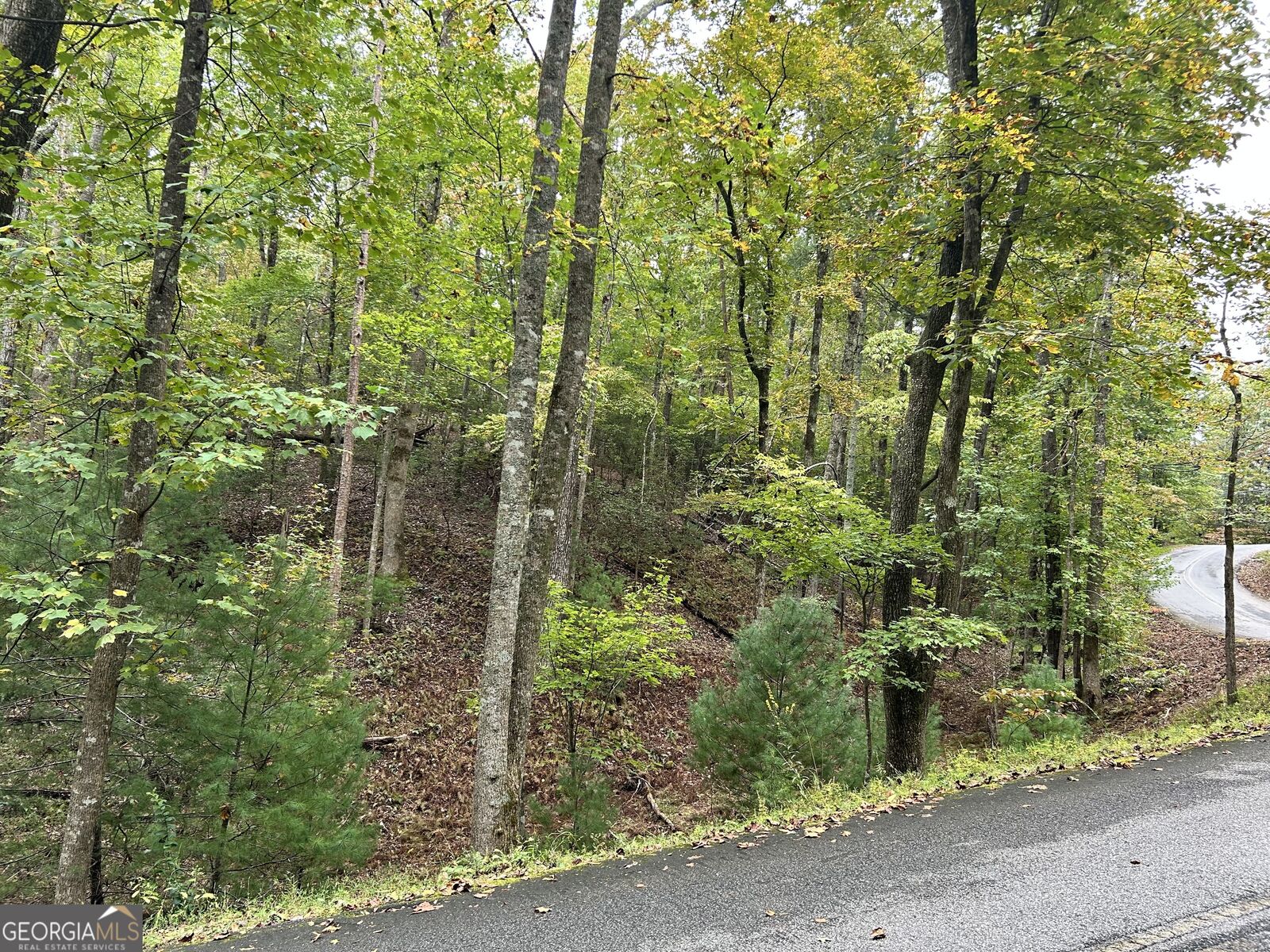 Property Photo:  0 Lower Gap Road W16  GA 30571 