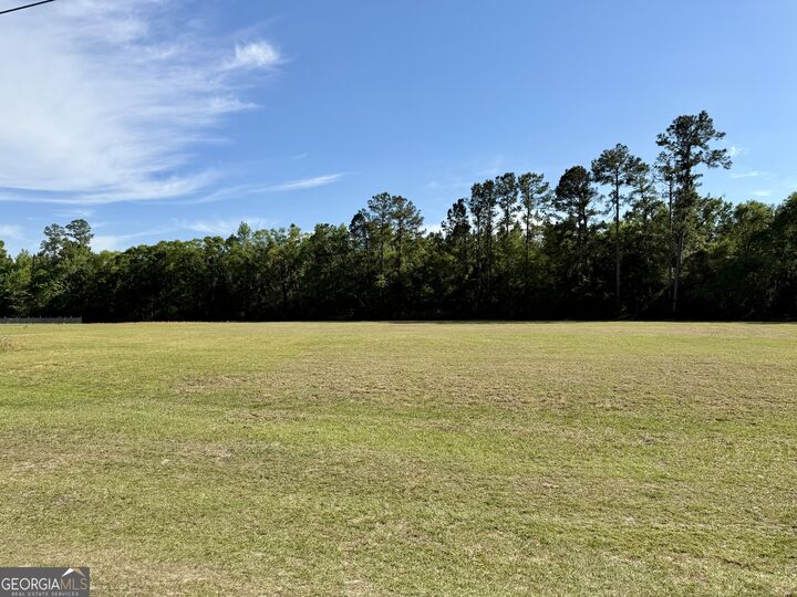 Property Photo:  0 Tiger Island Lane  GA 31569 