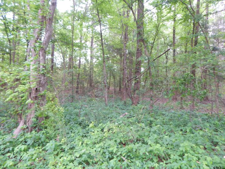Property Photo: Tbd 3.07 Acre Woodchuck Rd TX 75686