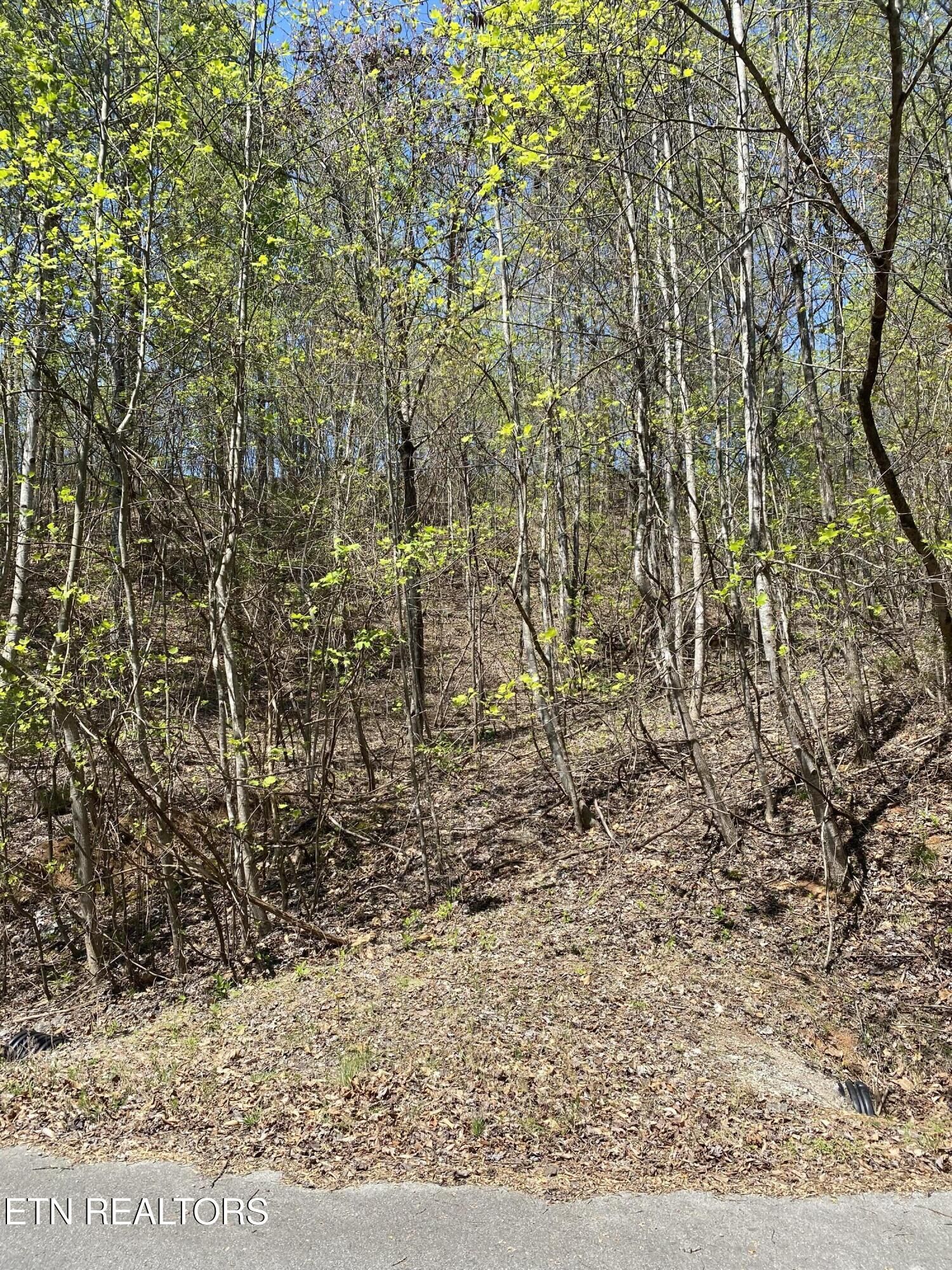 Property Photo:  Lot 549 Garnet Tr  TN 37825 