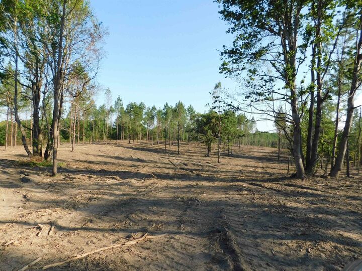 Property Photo:  Tbd Falcon View  TX 75640 