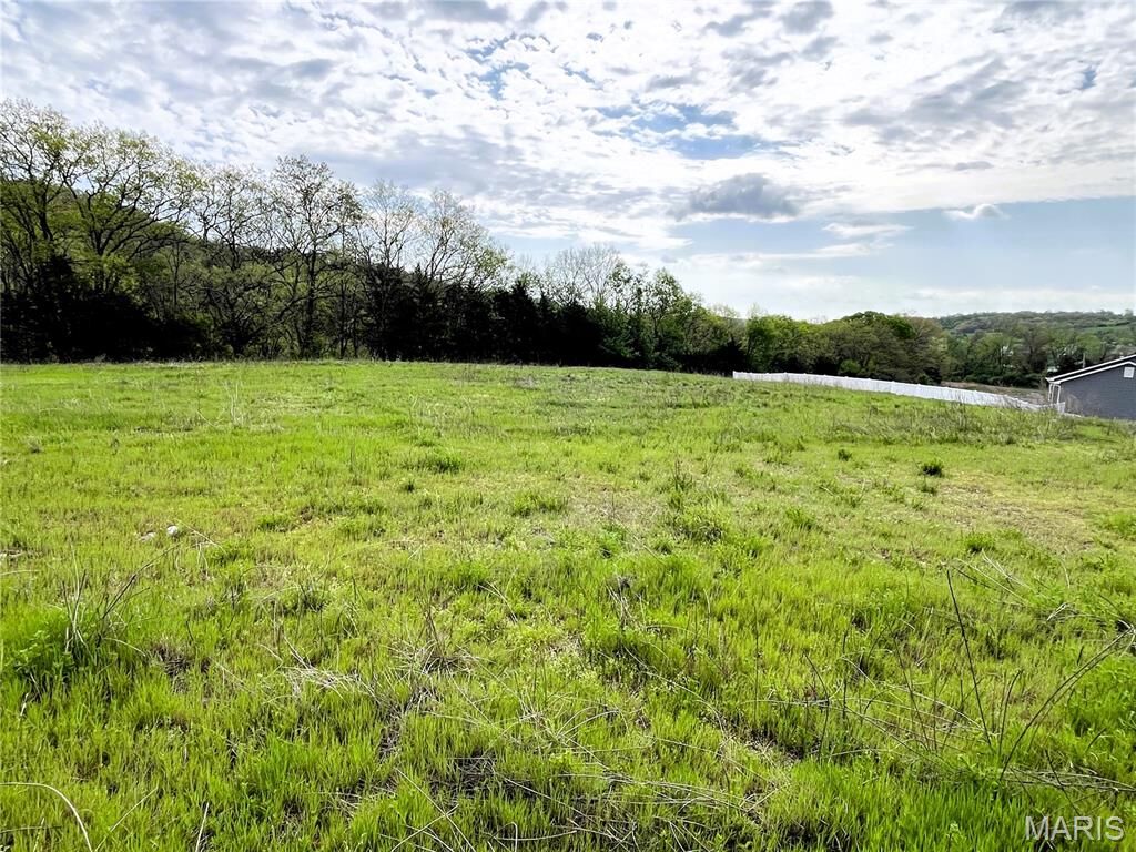 Property Photo:  3513 Butler Valley Drive  MO 63052 