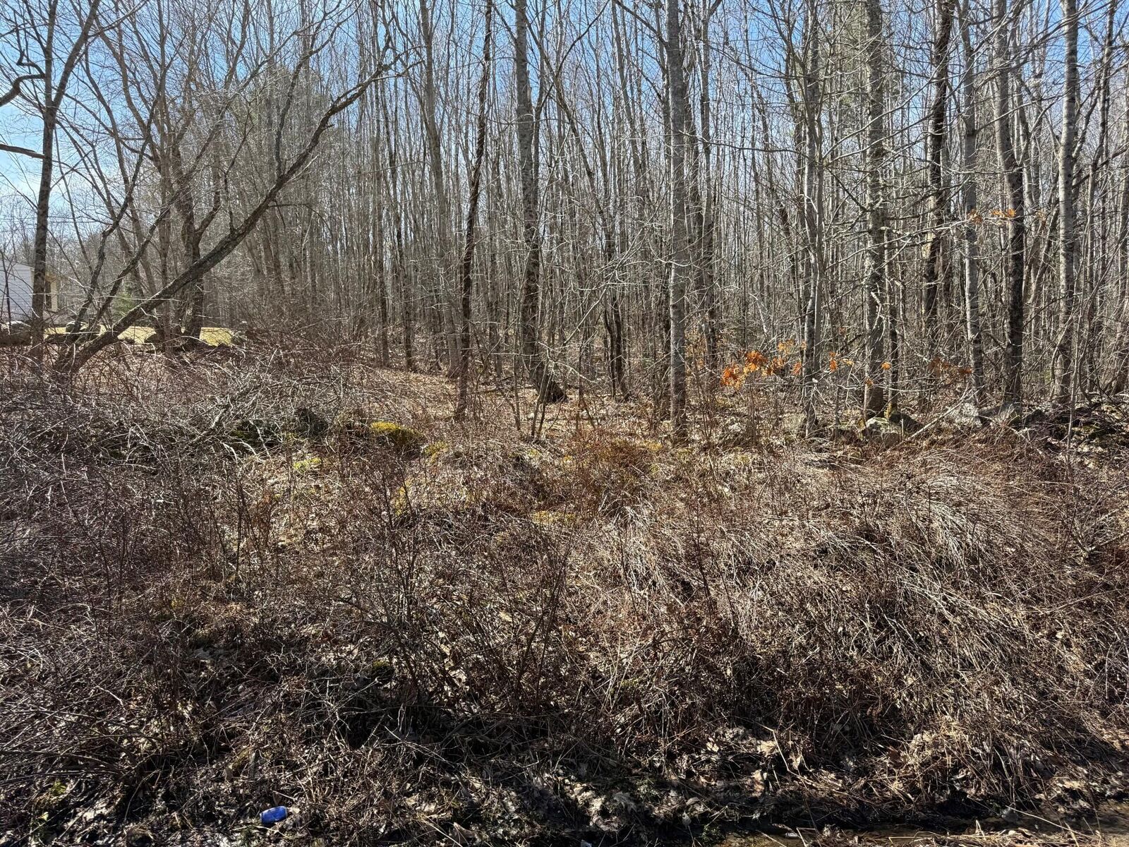 Property Photo:  824 Winslows Mills Road  ME 04572 