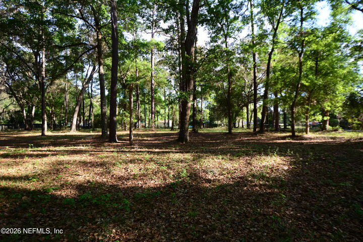 Property Photo: Parcel 6 Peeples Road FL 32097
