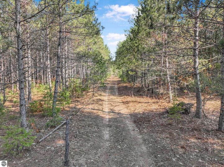 Property Photo:  7020 NW Round Lake Road  MI 49676 