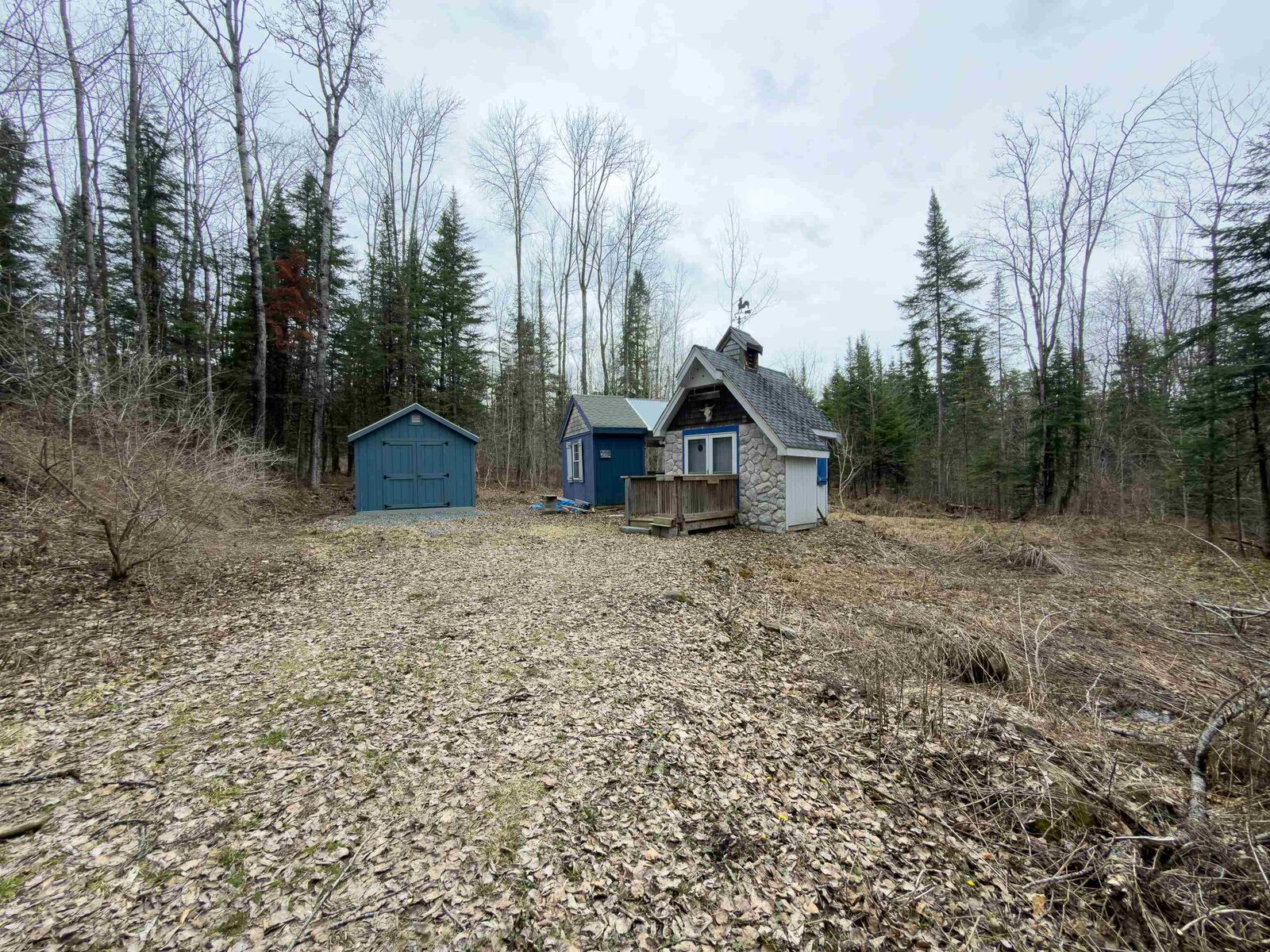 Property Photo:  3681 Shadow Lake Road  VT 05824 