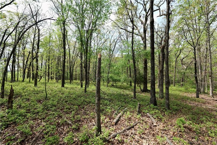 Property Photo: Tbd Hummingbird Road AR 72736