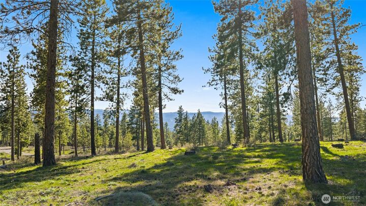 Property Photo:  0 Xxx  Flying M  WA 98922 