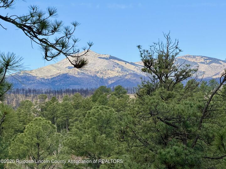 Property Photo:  103 Marble Drive  NM 88345 