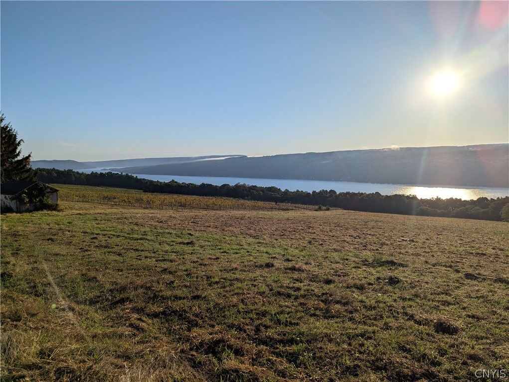 Property Photo:  Lot C County Route 76  NY 14840 