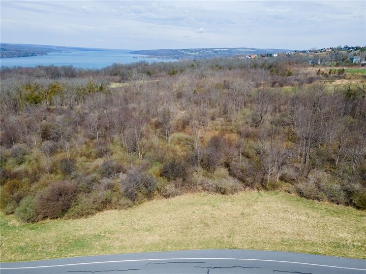 Property Photo:  0 Blackchin Boulevard  NY 14850 