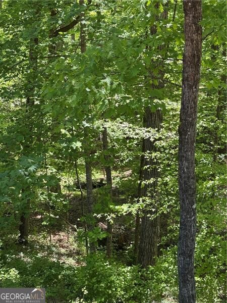 Property Photo:  0 Clark Drive  GA 30004 