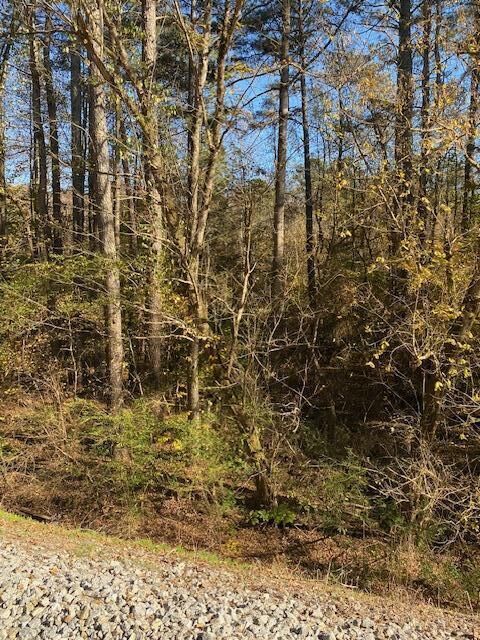 Property Photo:  0 N Hwy 411  GA 30705 