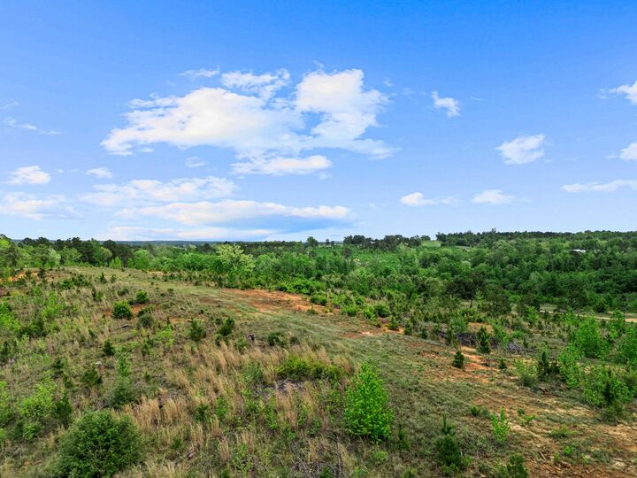 Property Photo:  Tbd Liberty Two  TX 75657 