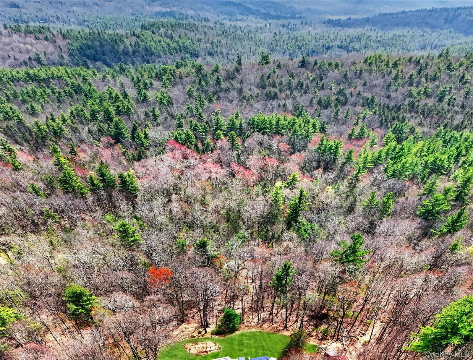 Property Photo:  Kelder Road  NY 12461 