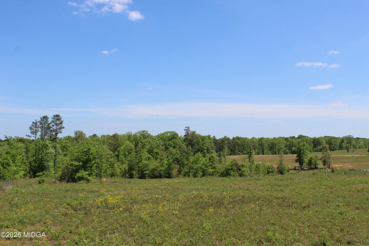 Property Photo:  157 Jordan Bottom Road  GA 31016 