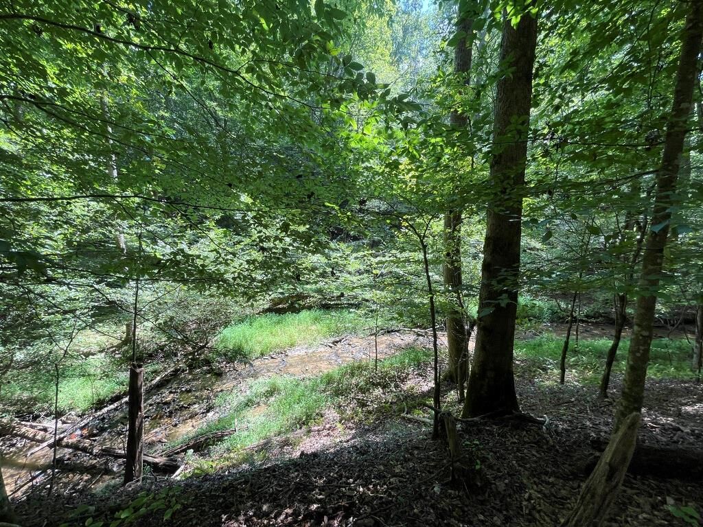 Property Photo:  Lot 223 Bowline Drive  GA 30540 
