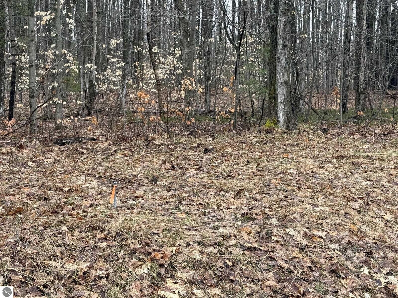Property Photo:  N Vandermeulen Road  MI 49651 
