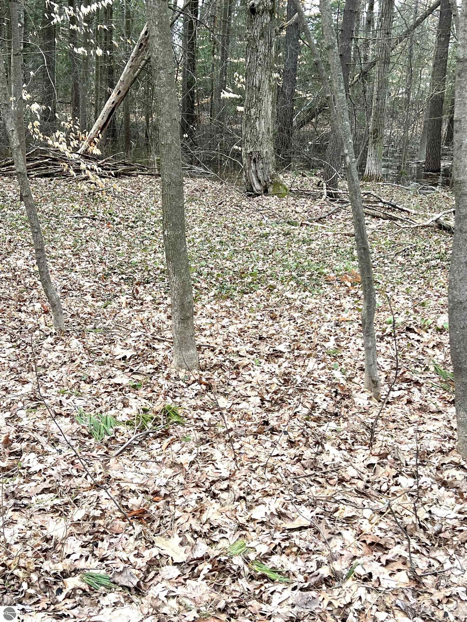 Property Photo:  00 Kenwood Road  MI 49601 