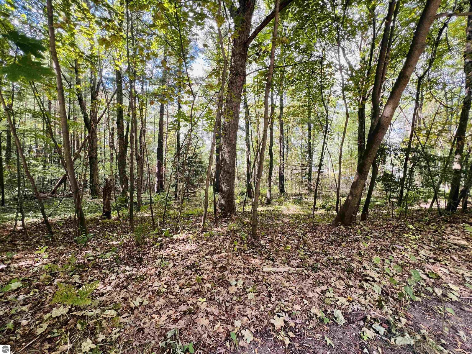 Property Photo: 00 North Boulevard MI 49601