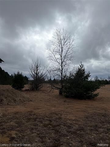 Property Photo:  00000 Vroom Rd SW  MI 49680 